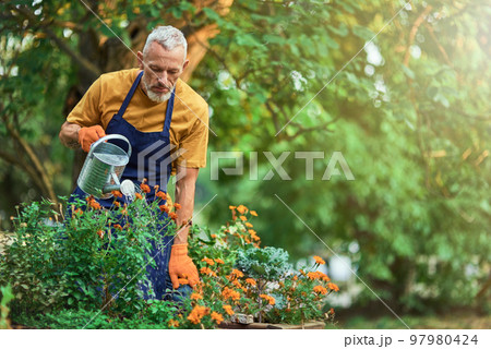Handsome middle aged caucasian farmer watering flowers 97980424