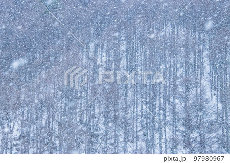 降りしきる雪と枯れ山 降りしきる雪と枯れ山 97980967