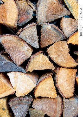 積まれた薪 積まれた薪 97981011