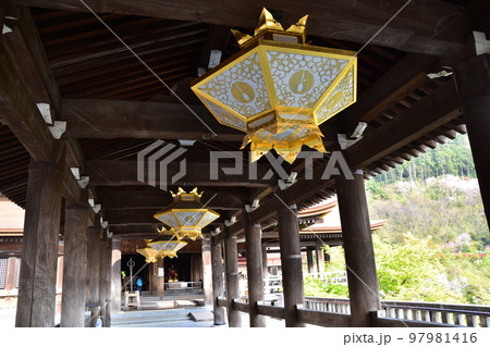 日本の京都 春の清水寺 清水の舞台と呼ばれる国宝の本堂 天井に飾られる豪華な照明器具 周辺の桜や新緑 日本の京都 春の清水寺 清水の舞台と呼ばれる国宝の本堂 天井に飾られる豪華な照明器具 周辺の桜や新緑 97981416