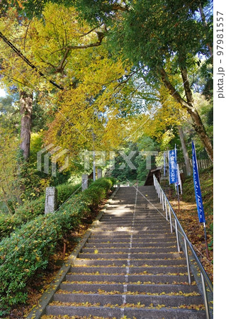 菅原天満宮 97981557