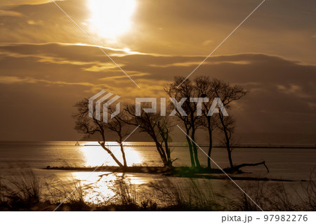 滋賀県長浜市湖北町尾上の冬の夕撮影 滋賀県長浜市湖北町尾上の冬の夕撮影 97982276