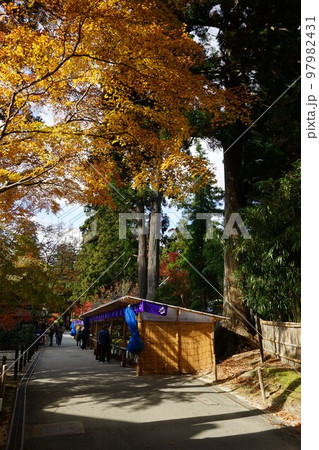 世界遺産 関山中尊寺 97982431