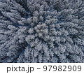 Aerial drone shot of pine trees covered with snow. Snowy winter forest 97982909
