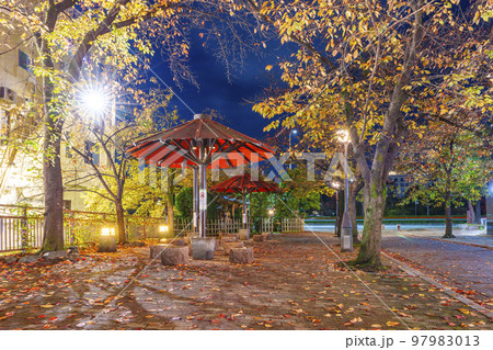 京都 風情ある祇園白川の夜景 赤い傘 京都 風情ある祇園白川の夜景 赤い傘 97983013