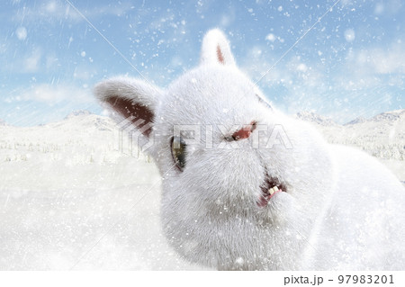寒い雪が降る中、可愛い白うさぎの顔のズームアップ 97983201