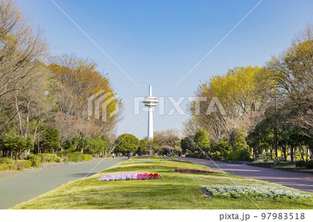 所沢航空記念公園　放送塔のある風景 97983518