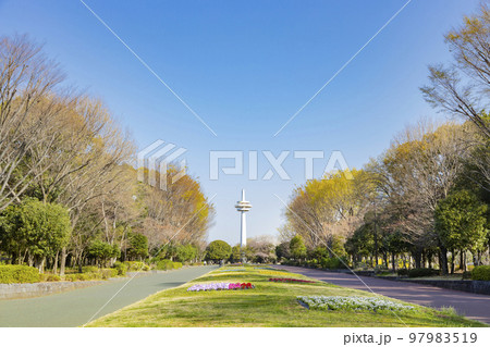所沢航空記念公園　放送塔のある風景 97983519