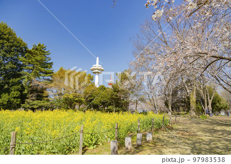 所沢航空記念公園 放送塔のある風景 所沢航空記念公園 放送塔のある風景 97983538
