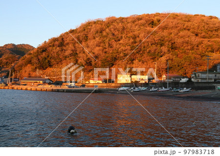 仁科漁港を撮る 97983718