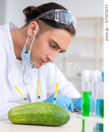 Male nutrition expert testing vegetables in lab Male nutrition expert testing vegetables in lab 97983833
