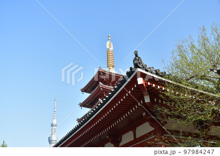 浅草寺五重塔とスカイツリー 浅草寺五重塔とスカイツリー 97984247