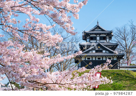 高田城址公園(春) 高田城址公園(春) 97984287