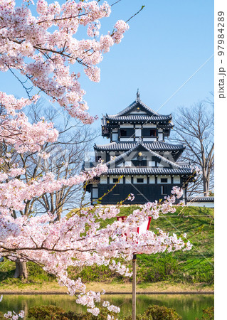 高田城址公園(春) 高田城址公園(春) 97984289