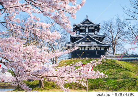 高田城址公園（春） 97984290