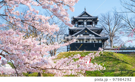 高田城址公園（春） 97984292