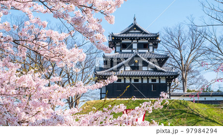 高田城址公園（春） 97984294