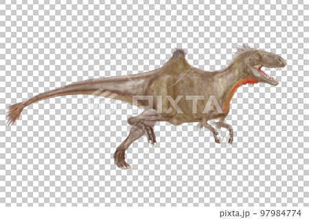 Concavenator 外形獨特的獸腳類動物 昆卡背部有駝峰的獵人 97984774