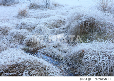 晩秋の上高地(中部山岳国立公園、特別名勝記念物) 晩秋の上高地(中部山岳国立公園、特別名勝記念物) 97985011