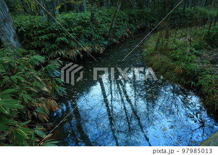 晩秋の上高地（中部山岳国立公園、特別名勝記念物） 97985013