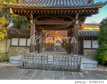 高円寺にある宿鳳山高円寺 97985331