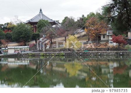 秋の奈良の猿沢の池 秋の奈良の猿沢の池 97985735