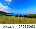 夏の石垣島川平湾を望む風景 97986068