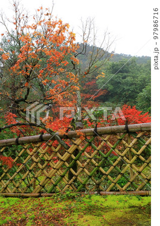 京都　光悦寺の紅葉 97986716