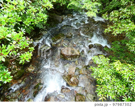 渓流 渓流 97987302