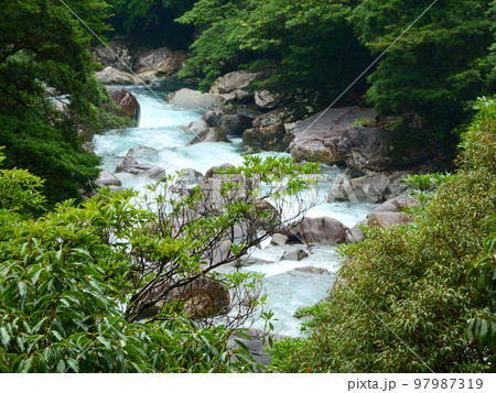 渓流 渓流 97987319