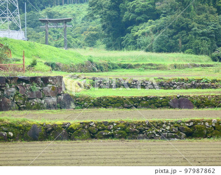 棚田 97987862