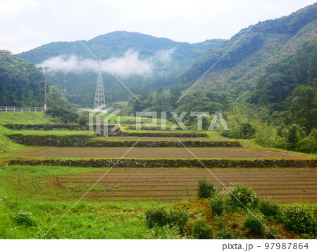 棚田 97987864