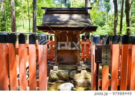 京都 白鬚神社（上賀茂神社 末社） 97988449