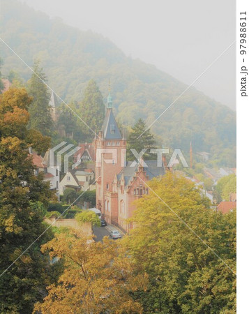 ドイツ・リューデスハイム　自然あふれる朝の風景 97988611