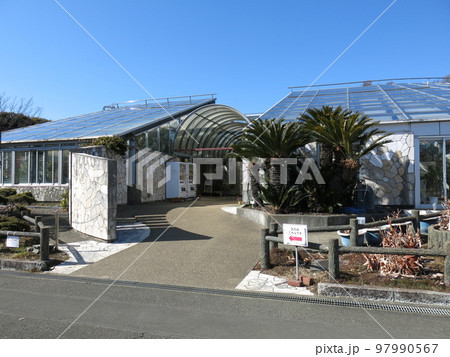 大船フラワーセンターのグリーンハウス 大船フラワーセンターのグリーンハウス 97990567