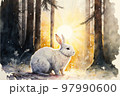 森の中のうさぎ 97990600