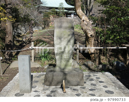鎌倉市の龍宝寺にある新井白石の碑 97990733