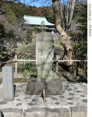 鎌倉市の龍宝寺にある新井白石の碑 鎌倉市の龍宝寺にある新井白石の碑 97990734