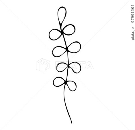 Black and White Seaweed Coloring Page, Hand drawn black and white sea doodle sketch illustration. Seaweed Coloring Book for Kids. 97991303