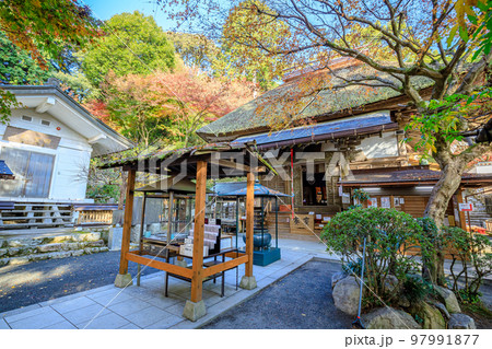 秋の大興善寺 佐賀県三養基郡 秋の大興善寺 佐賀県三養基郡 97991877