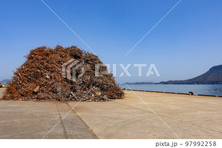 埋立地に積み上げられた鉄屑の山 97992258