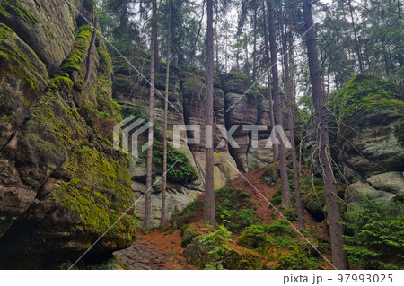 View of the rocks in the mystical forest. The background of nature. View of the rocks in the mystical forest. The background of nature. 97993025