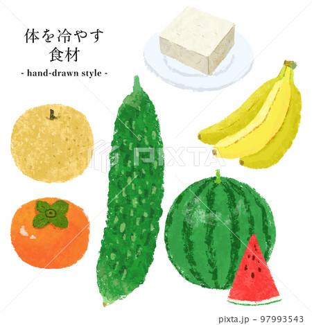 手描き風の体を冷やす食材セット 手描き風の体を冷やす食材セット 97993543