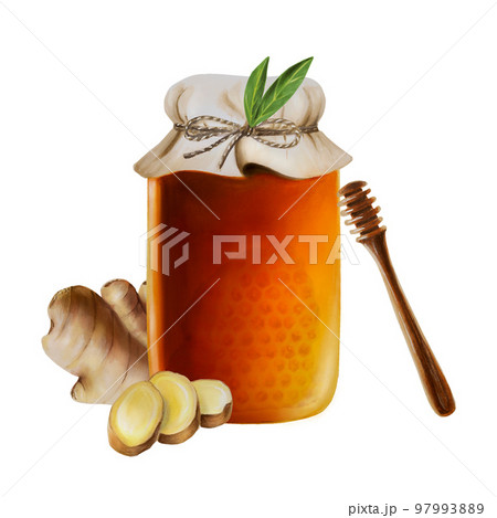 Watercolor glass jar of amber honey with ginger and wooden stick. Hand drawn immunity strengthening vitamins illustration on background. 97993889