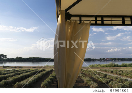 Travelling to Silistra, near the river Danube Travelling to Silistra, near the river Danube 97994302
