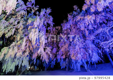 ライトアップされた山形蔵王の樹氷　山形県山形市 97995428