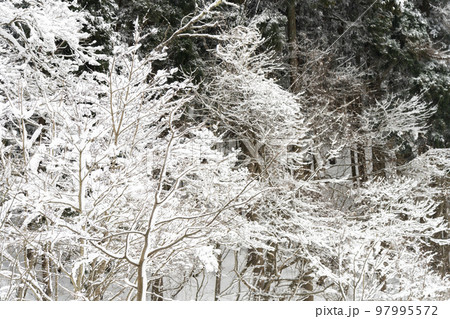 雪が降る山あいの風景　山形県山形市 97995572