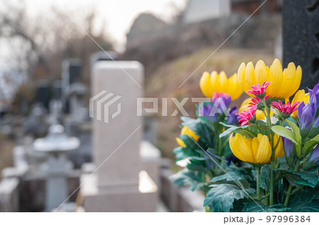 墓地の仏花 墓地の仏花 97996384