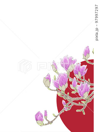 更紗木蓮 ピンクの花びら 希望 更紗木蓮 ピンクの花びら 希望 97997297