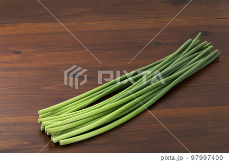 にんにくとニンニクの芽 にんにくとニンニクの芽 97997400